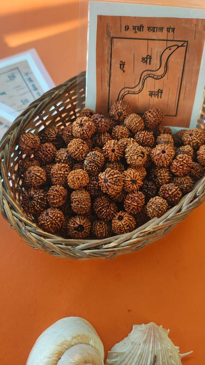 9-Mukhi Rudraksha Yantra Altar – Hand-Inscribed Bhojpatra | Durga Energy (Pre-Energized)