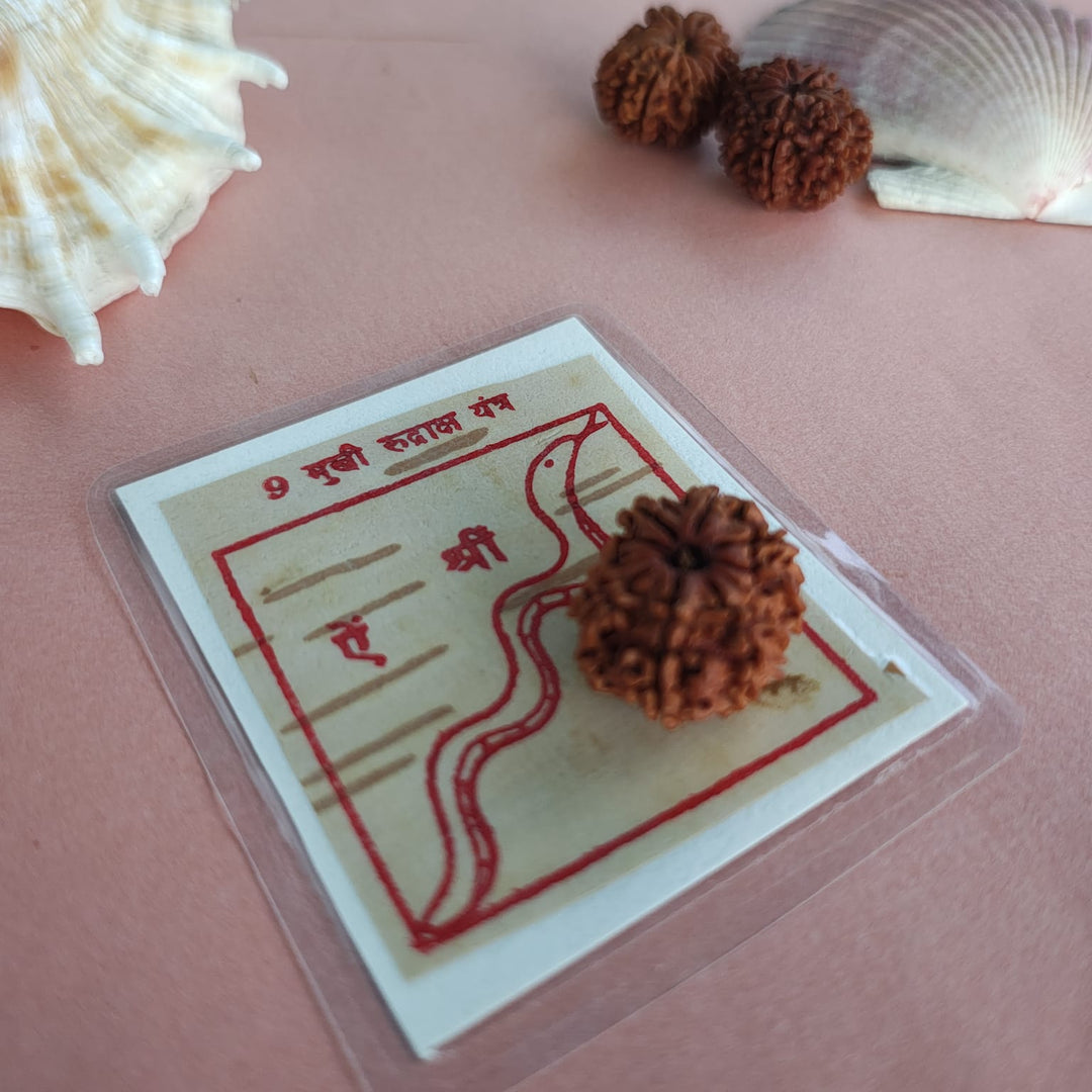 9-Mukhi Rudraksha Yantra Altar – Hand-Inscribed Bhojpatra | Durga Energy (Pre-Energized)