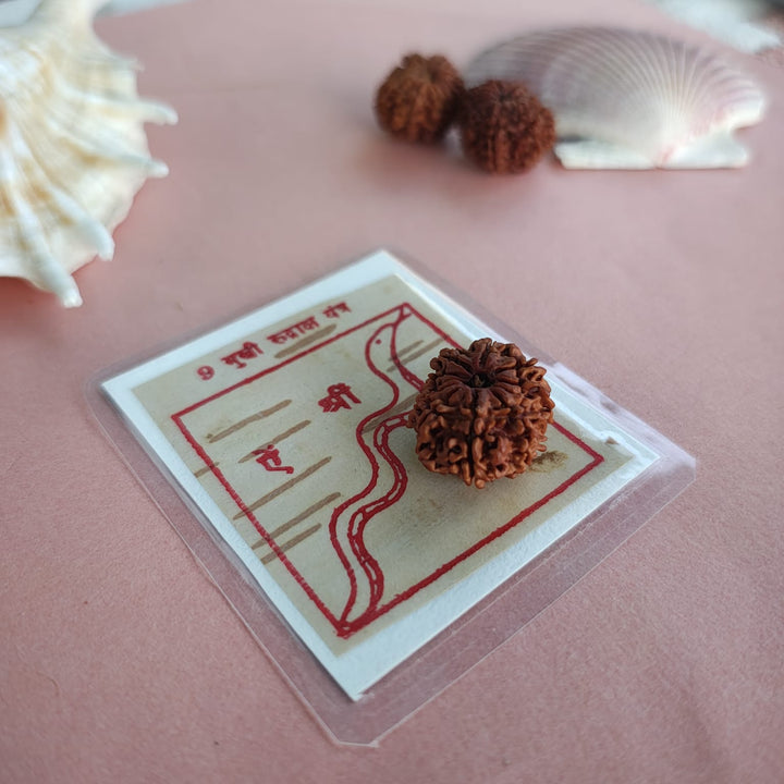 9-Mukhi Rudraksha Yantra Altar – Hand-Inscribed Bhojpatra | Durga Energy (Pre-Energized)