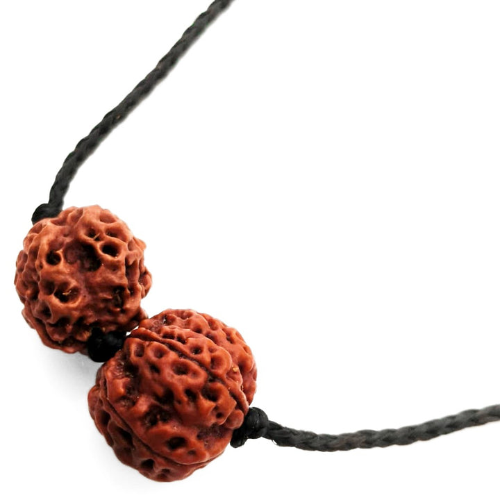 Aries (Mesh) Wealth & Vitality Bundle - 3 & 5 Mukhi Rudraksha Only Bead