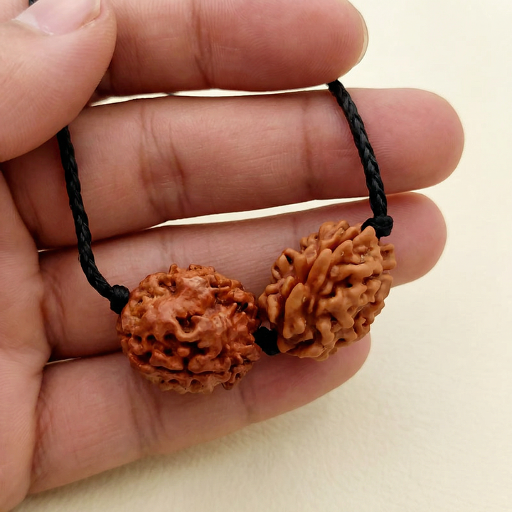 Cancer (Kark) Emotional Balance & Assets Bundle - 3 & 2 Mukhi Rudraksha Medium In Thread