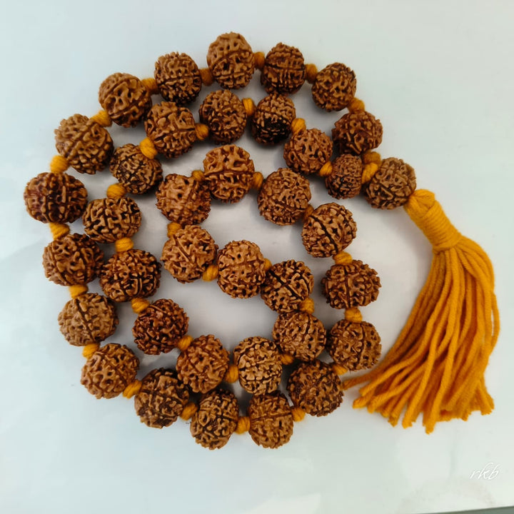 Original 8 Mukhi Nepalese Rudraksha Kantha for Obstacle Removal & Success | 36+1 Beads