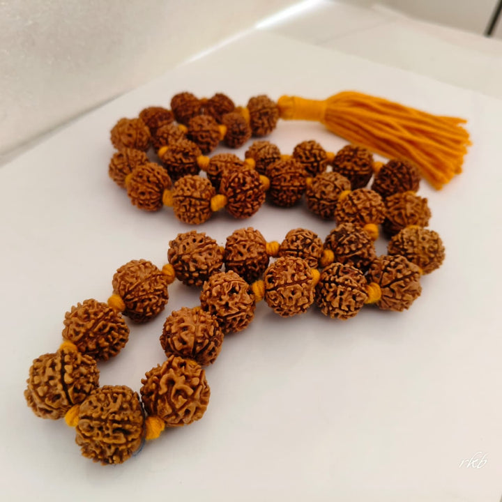 Original 8 Mukhi Nepalese Rudraksha Kantha for Obstacle Removal & Success | 36+1 Beads