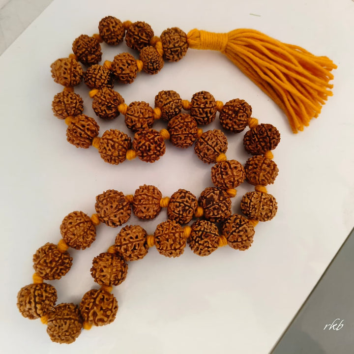 Original 8 Mukhi Nepalese Rudraksha Kantha for Obstacle Removal & Success | 36+1 Beads