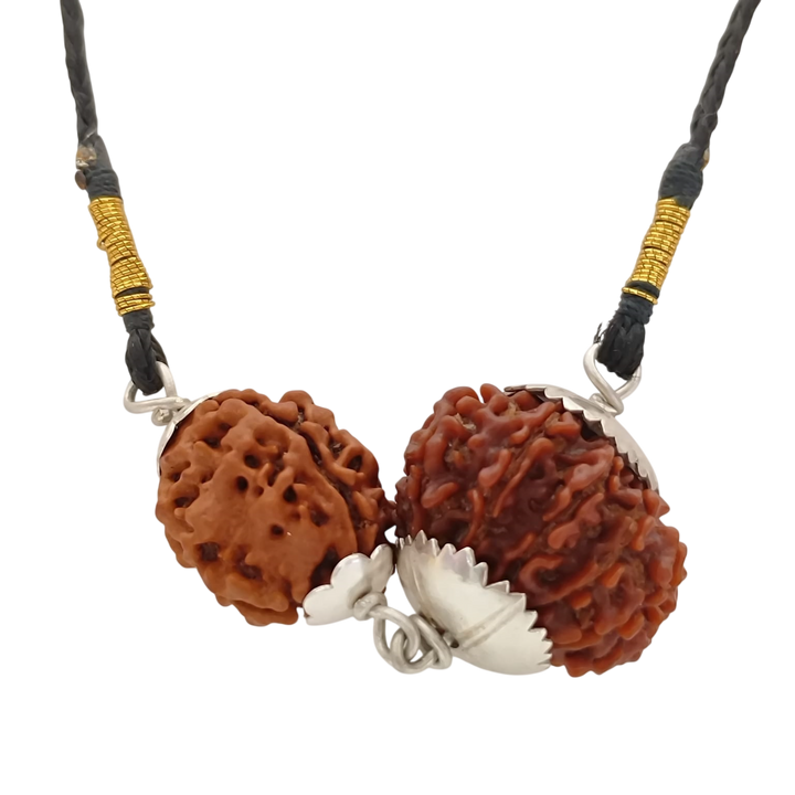 Leo (Simha) Authority & Leadership Bundle - 12 & 3 Mukhi Rudraksha