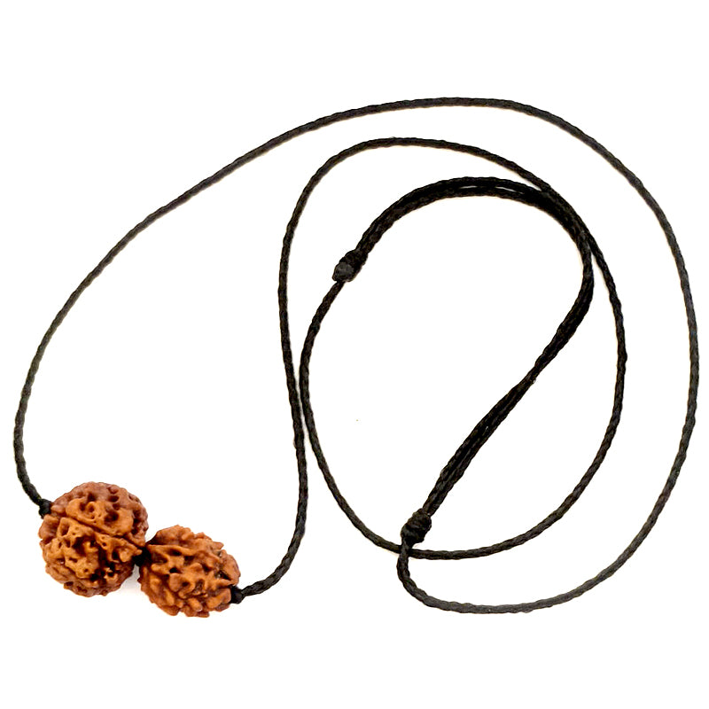 Scorpio (Vrischhik) Intuition & Financial Gain Bundle - 5 & 2 Mukhi Rudraksha