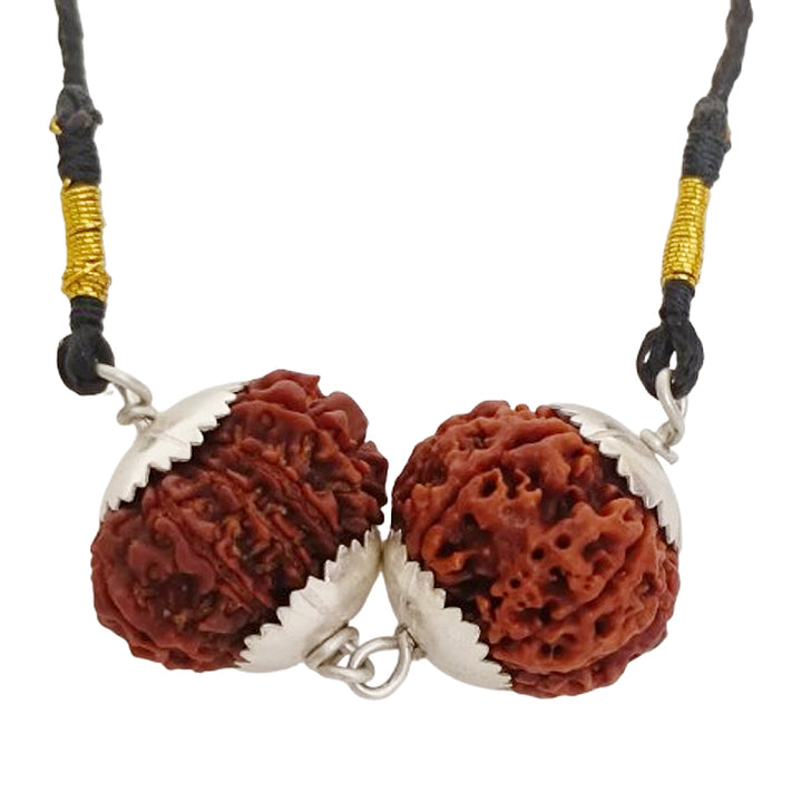 Sagittarius (Dhanu) Spiritual & Material Growth Bundle - 5 & 12 Mukhi Rudraksha