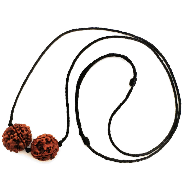 Virgo (Kanya) Intellectual Success Bundle - 4 & 6 Mukhi Rudraksha