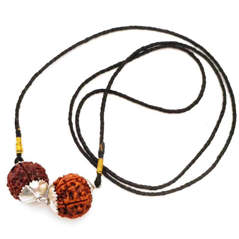 Aquarius (Kumbha) Social Impact & Income Bundle - 6 & 7 Mukhi Rudraksha