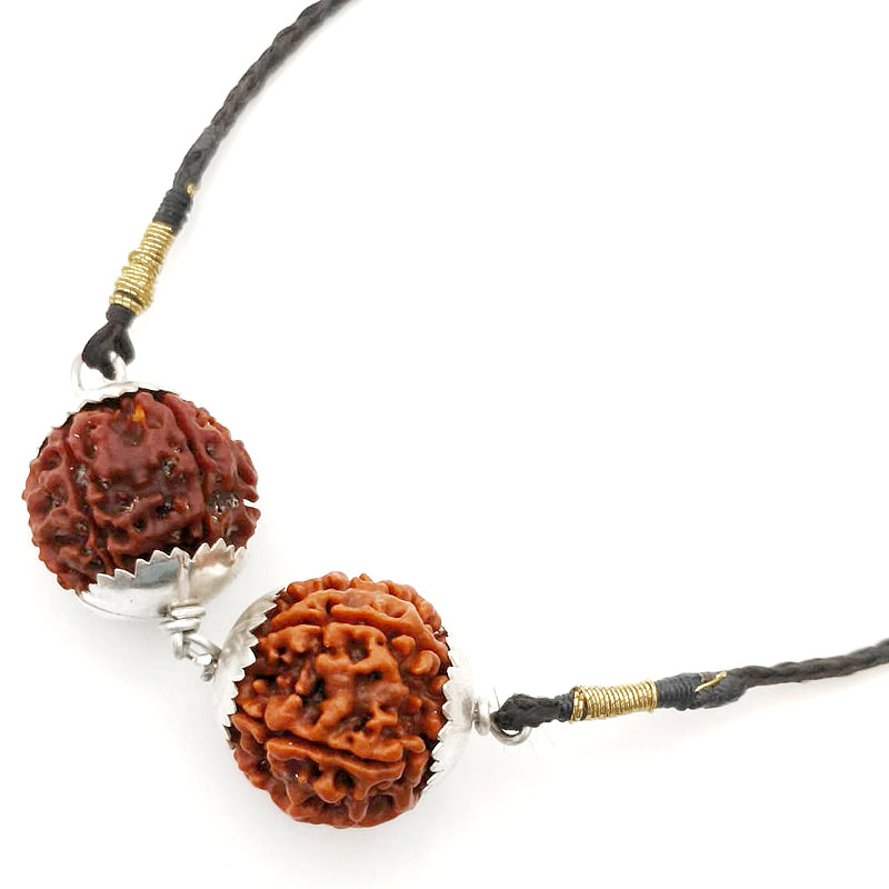 Aquarius (Kumbha) Social Impact & Income Bundle - 6 & 7 Mukhi Rudraksha