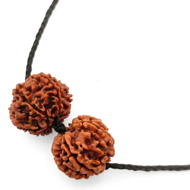 Capricorn (Makar) Career Persistence Bundle - 6 & 7 Mukhi Rudraksha