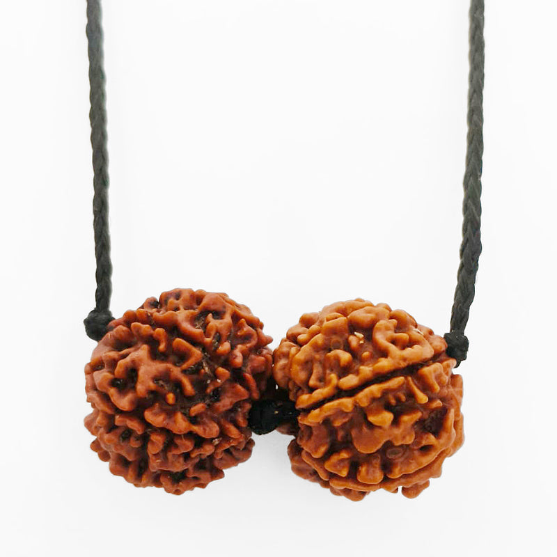 Aquarius (Kumbha) Social Impact & Income Bundle - 6 & 7 Mukhi Rudraksha
