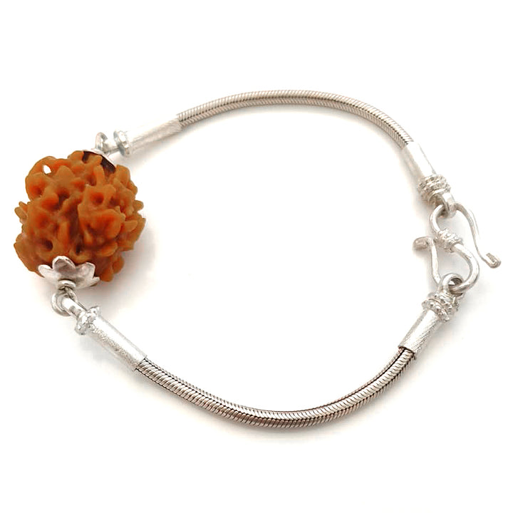 2 Mukhi Rudraksha Silver Bracelet | Do Mukhi Rudraksha Bead Snake Chain Silver Bracelet | Nepal Two Mukhi Rudraksha Bead with Caps & Silver Chain Bracelet