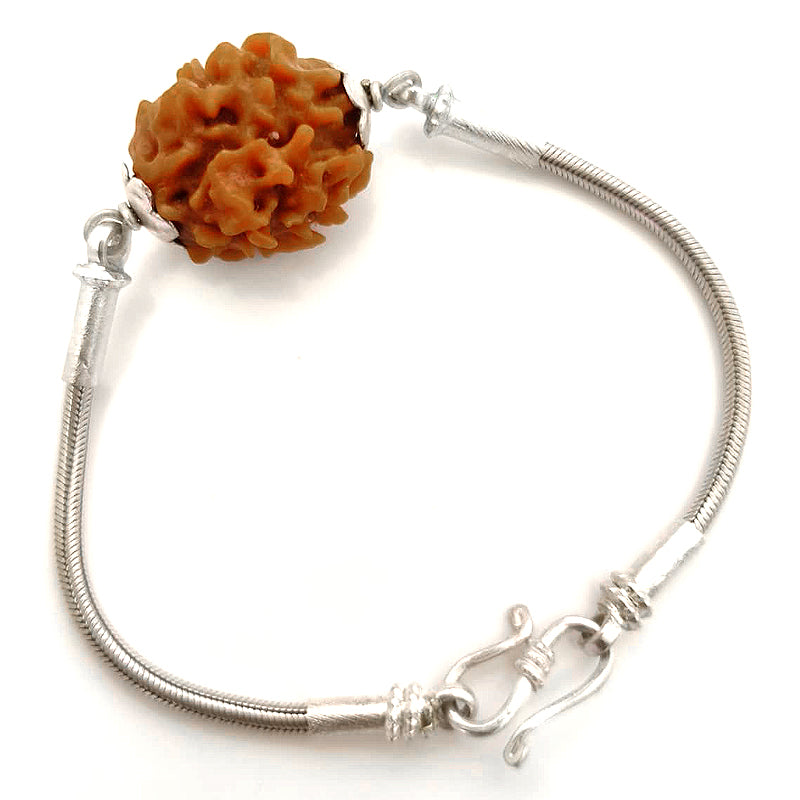 2 Mukhi Rudraksha Silver Bracelet | Do Mukhi Rudraksha Bead Snake Chain Silver Bracelet | Nepal Two Mukhi Rudraksha Bead with Caps & Silver Chain Bracelet