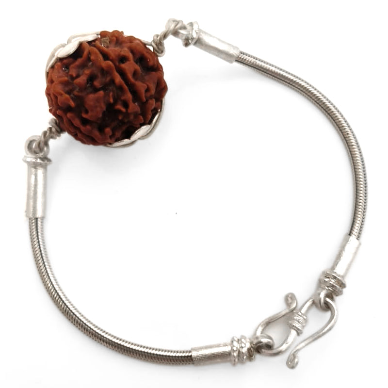 6 Mukhi Rudraksha Silver Bracelet | Che Mukhi Rudraksha Bead Snake Chain Silver Bracelet | Nepal Six Mukhi Rudraksha Bead with Caps & Silver Chain Bracelet