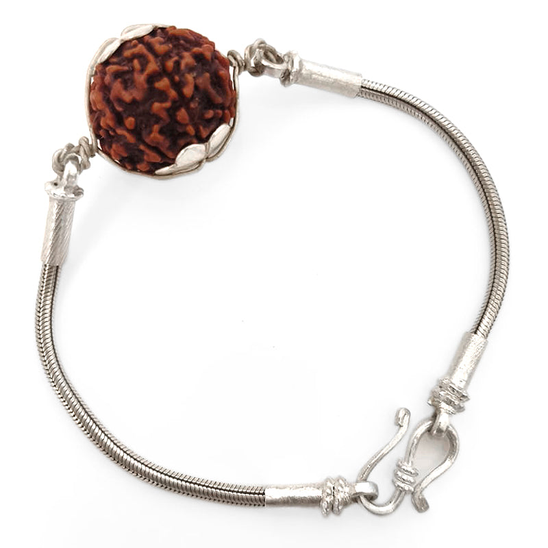 7 Mukhi Rudraksha Silver Bracelet | Saat Mukhi Rudraksha Bead Snake Chain Silver Bracelet | Nepal Seven Mukhi Rudraksha Bead with Caps & Silver Chain Bracelet