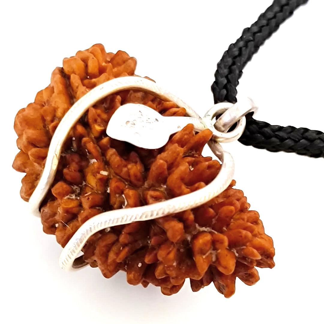 (39 mm) 1 Mukhi Rudraksha Super Collector Bead Pendant | Ek Mukhi Rudraksha Indian Bead | Half Moon Shaped Ek Mukhi Rudraksha Bead | 1 Mukhi Rudraksha Online Super Collector Bead Pendant In Silver