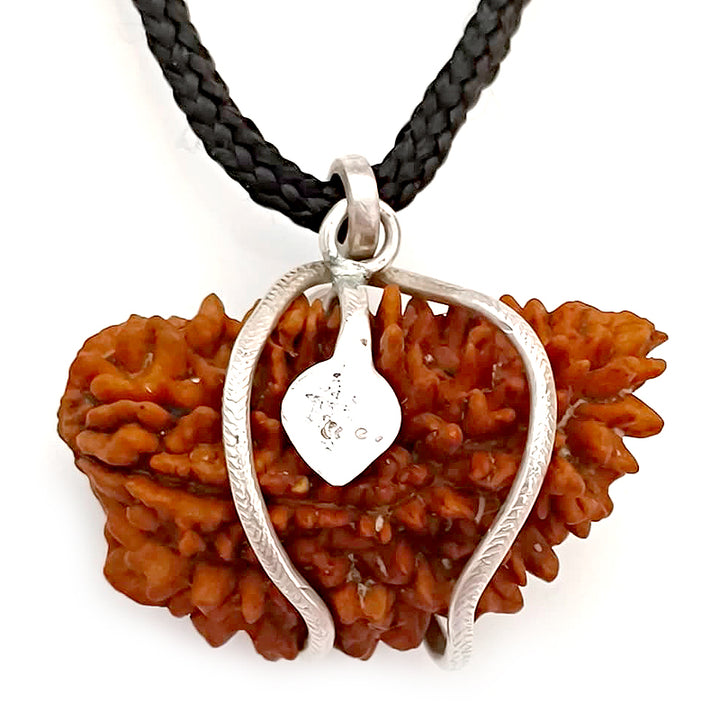 (39 mm) 1 Mukhi Rudraksha Super Collector Bead Pendant | Ek Mukhi Rudraksha Indian Bead | Half Moon Shaped Ek Mukhi Rudraksha Bead | 1 Mukhi Rudraksha Online Super Collector Bead Pendant In Silver
