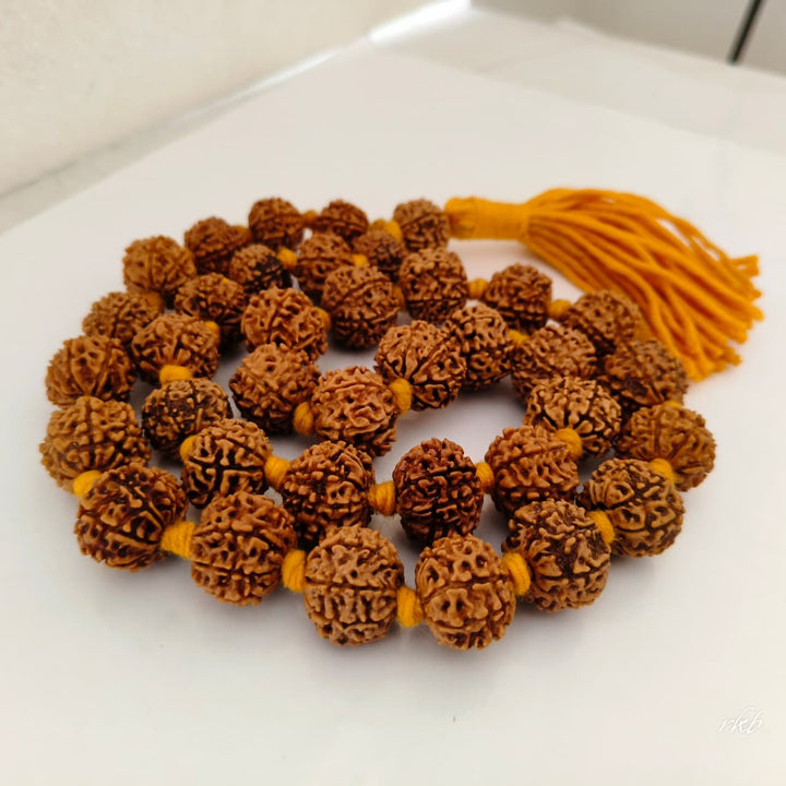 Original 8 Mukhi Nepalese Rudraksha Kantha for Obstacle Removal & Success | 36+1 Beads