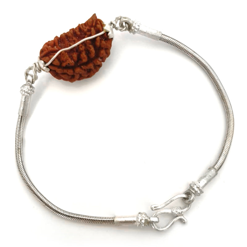1 Mukhi Rudraksha Silver Bracelet, Ek Mukhi Rudraksha Bead Snake Chain Silver Bracelet | Half Moon Shaped Indian One Mukhi Rudraksha Bead Silver Chain Bracelet