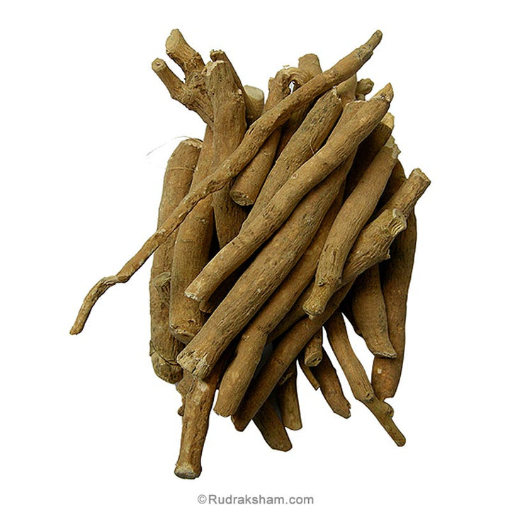 Ashvagandha - Winter Cherry Herb