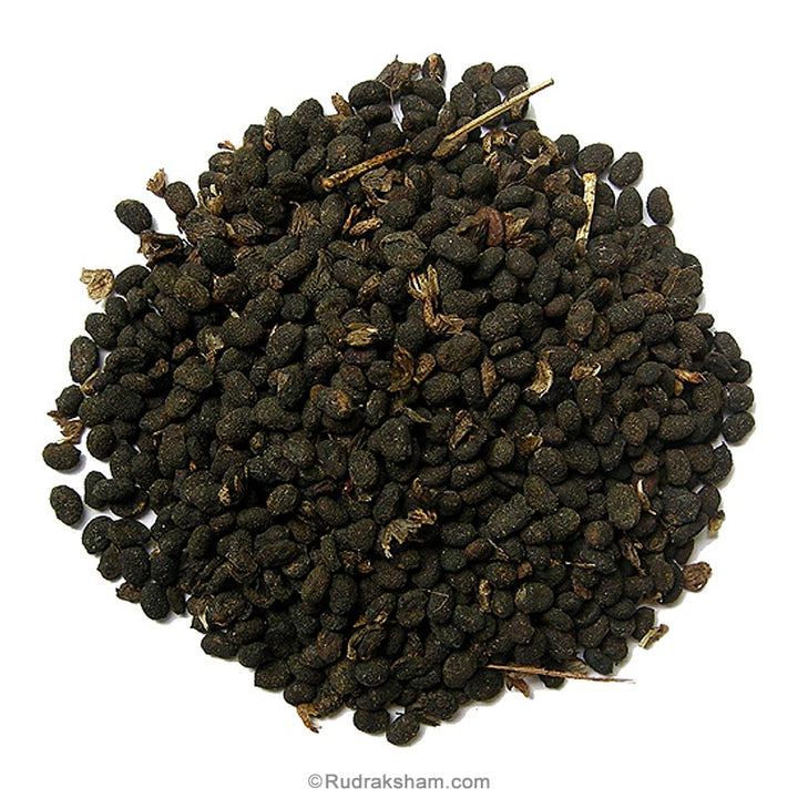 Bakuchi - Psoralea Corylifolia Herb