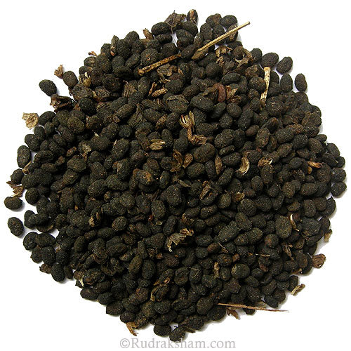  Bakuchi - Psoralea Corylifolia Herb