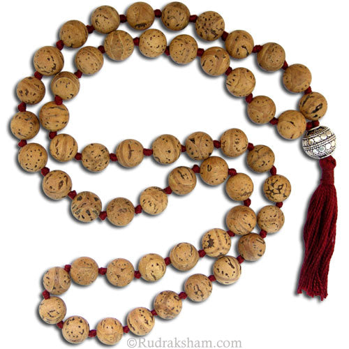Bodhi Seed Prayer Beads Mala Necklace 