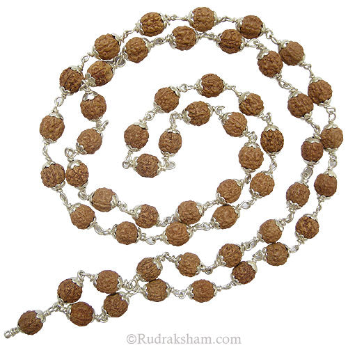 7.5mm Pathri Chikna Rudraksha Mala Rosary in Silver Caps | Smooth Indonesian Rudraksha Beads Silver Mala