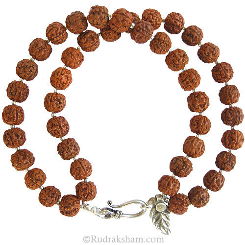 Chikna Pathri Beads Rudraksha Bracelet | Chikna Beads Rudraksha Double Bracelet with Silver Accessories | High Quality Smooth Rudraksha 2 Lines Bracelet
