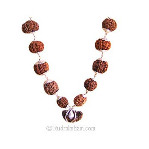 1-13 Mukhi Collector Rudraksha Beads Kantha Mala | Energised and Original Nepal Rudraksha Beads Configuration - 4