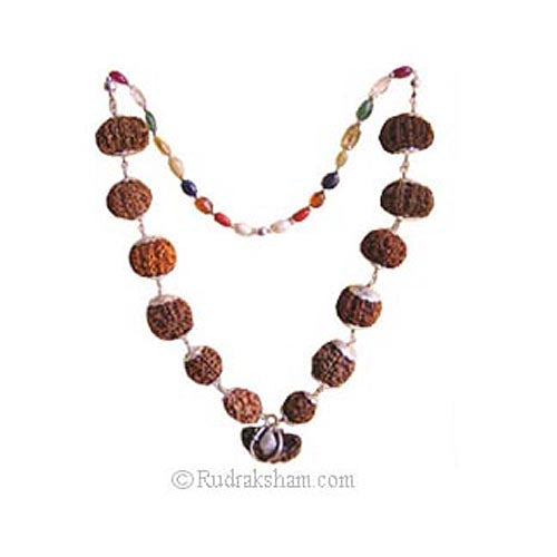 1-13 Mukhi Collector Rudraksha Kantha Mala | 9 Navratna Gemstone Beads | Energised and Original Rudraksha Beads Configuration - 5