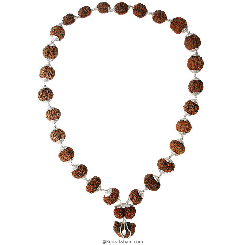 27+1 Kantha Mala Fine Rudraksha Beads | Energised Meditation mala from 1 Mukhi to 14 Mukhi Ganesh Gauri Shankar Bead | Configuration - 1