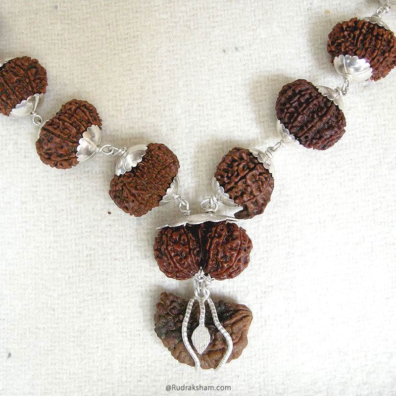 27+1 Collector Rudraksha Beads Kantha Mala | Energised 1 to 14 Mukhi Gauri Shankar and Ganesha Beads | Configuration - 1