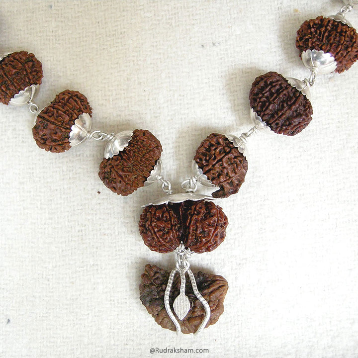 27+1 Collector Rudraksha Beads Kantha Mala | Energised 1 to 14 Mukhi Gauri Shankar and Ganesha Beads | Configuration - 1