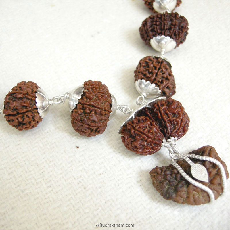 27+1 Kantha Mala Fine Rudraksha Beads | Energised Meditation mala from 1 Mukhi to 14 Mukhi Ganesh Gauri Shankar Bead | Configuration - 1