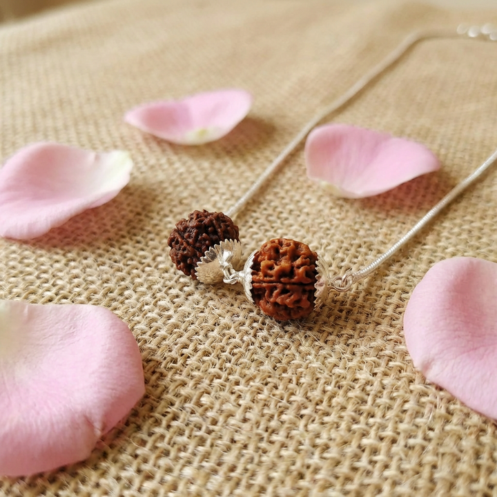 Aquarius (Kumbha) Social Impact & Income Bundle - 6 & 7 Mukhi Rudraksha