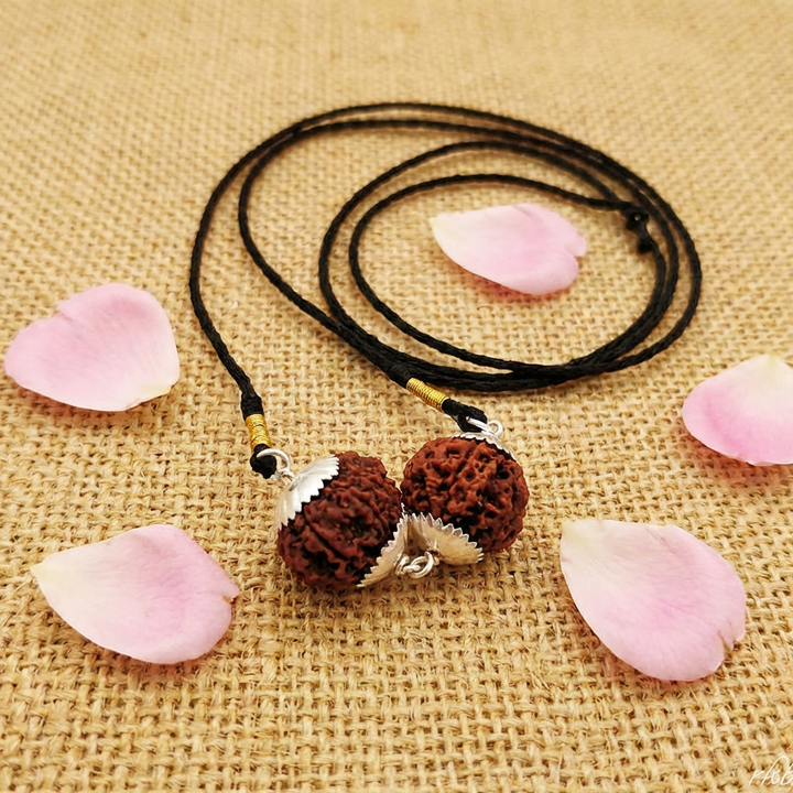 Sagittarius (Dhanu) Spiritual & Material Growth Bundle - 5 & 12 Mukhi Rudraksha