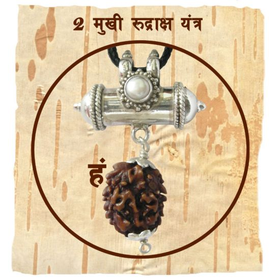 2 Mukhi Rudraksha Bead |Two faced Rudraksha Bead Online Do Mukhi Indian / Nepal Bead Natural and Pure .