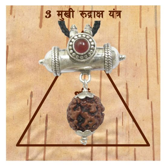 3 Mukhi Rudraksha Bead | Original Three Faced Nepal Rudraksha Bead | Authentic Rudraksha Teen Mukhi