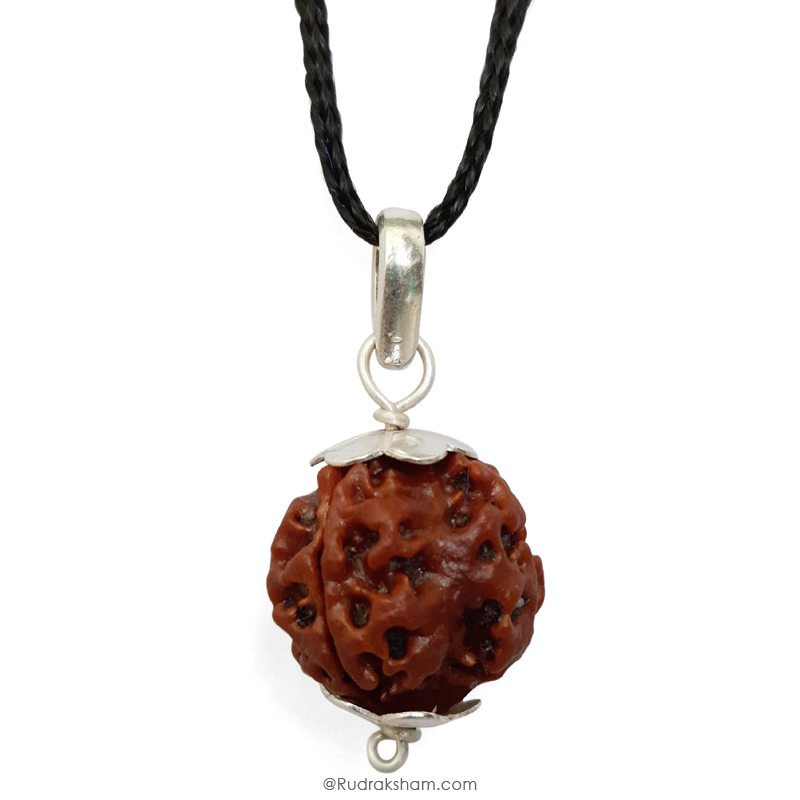 3 Mukhi Rudraksha Bead | Original Three Faced Nepal Rudraksha Bead | Authentic Rudraksha Teen Mukhi