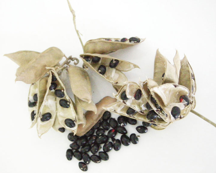  Original Black Chirmi beads Mala