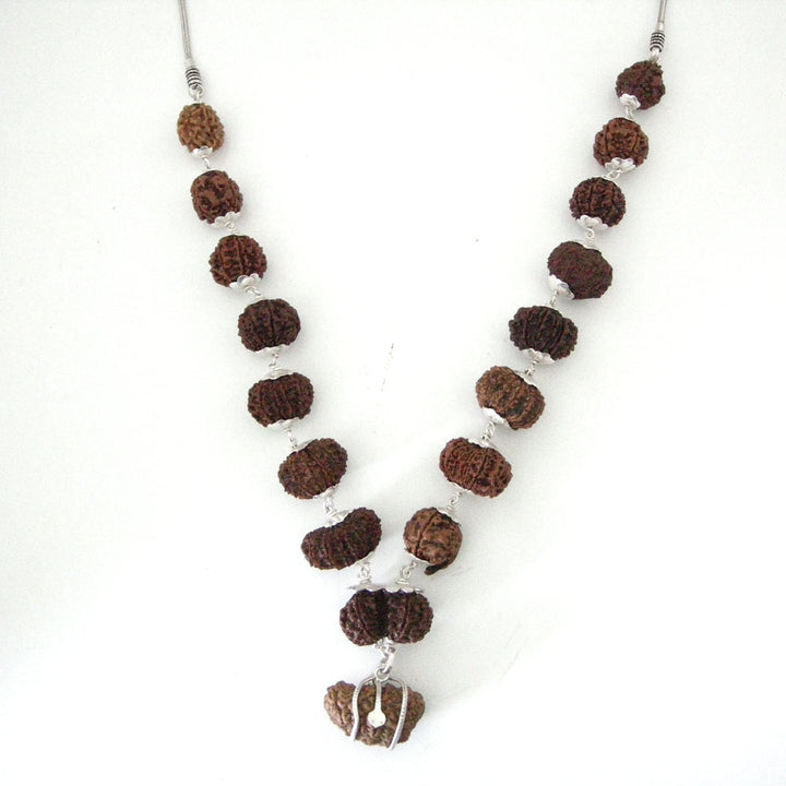 1-14 Mukhi Fine Rudraksha Beads Kantha Mala With Gauri Shankar and Ganesh | Siddh Rudraksha Kantha with Silver Chain | Configuration - 2