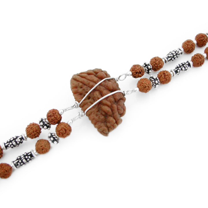  Half Moon Shaped Indian One Mukhi Rudraksha Bead Double Strand Bracelet