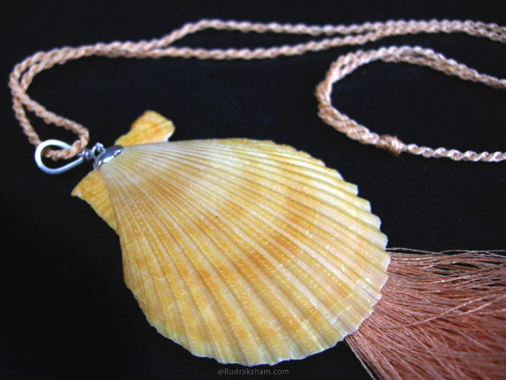  Real Natural Sea Shell Necklace