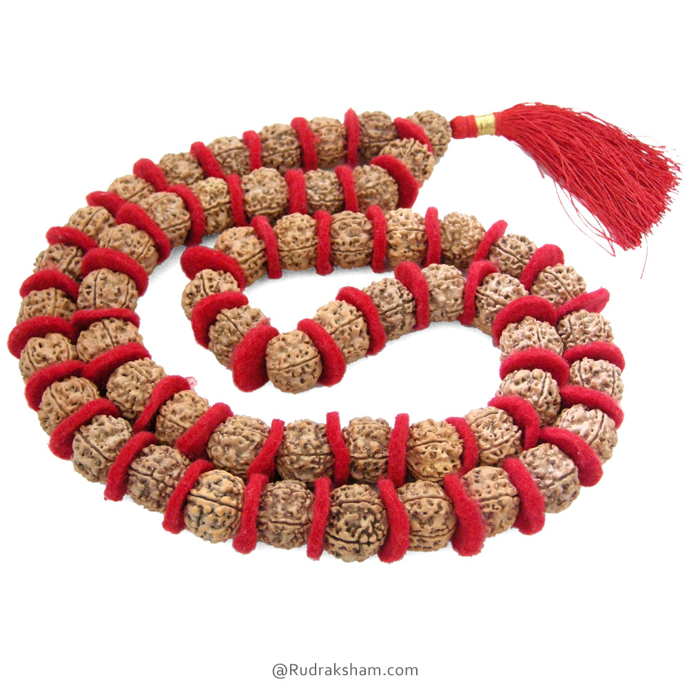 (18-20mm) 5 Mukhi Rudraksha Bead Kantha Mala Necklace 54 Beads