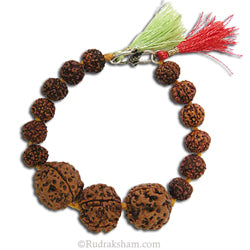 Rudraksha Thread Bracelet for Education | Combination of Nepal 4 Mukhi Rudraksha & 6 Mukhi Rudraksha for Students
