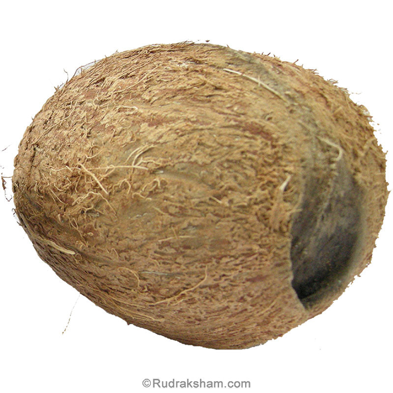  Buy ENERGISED Original Ekakshi Nariyal