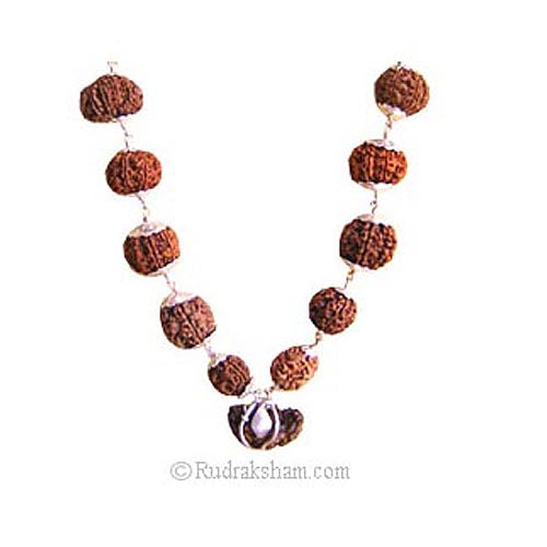 1-13 Mukhi Fine Rudraksha Beads Kantha Mala | Buy Online Energised and Original Siddh Rudraksha Beads Configuration - 4