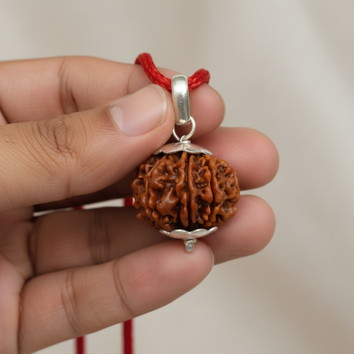 17 Mukhi Rudraksha Bead | Seventeen Mukhi Rare Natural Energised Spiritual Bead from Nepal